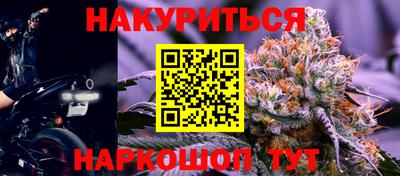Альфа ПВП Будённовск