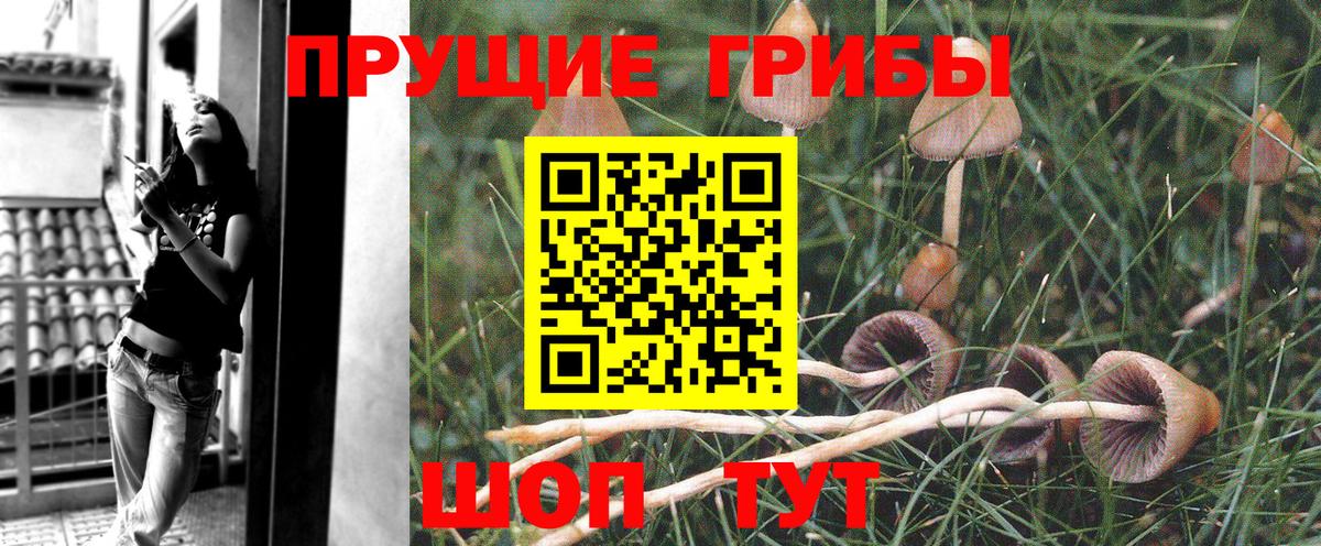 Галлюциногенные грибы Cubensis  Вход с VPN  Череповец  где продают   Псилоцибиновые грибы Psilocybine cubensis 