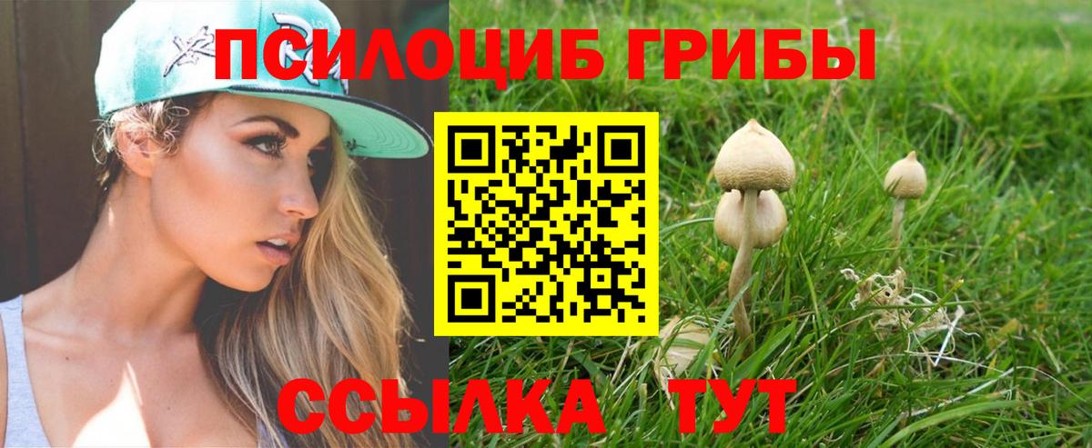 Псилоцибиновые грибы ЛСД Череповец